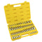 60 Pc Master Star and E Socket Bit Set - ToolPlanet