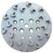 Diamond Grinding Disc 10" Diameter Wheel with Arrow Segment - ToolPlanet