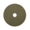 Diamond Polishing Pads 5 inch for Granite Marble Stone Wet 100 grit - ToolPlanet