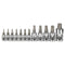 Neiko 10085A 12 Pc. Tamper Star Plus Socket Bit Set - ToolPlanet