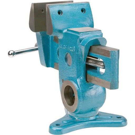 Shop Fox Swivel Tilting Parrot Vise 4 3/4 Inch D3125 - ToolPlanet