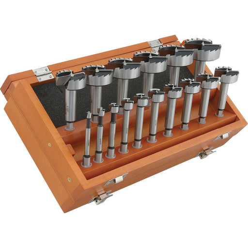 Steelex 16 Pc. Forstner Drill Bit Hex Shank Set D3573 - ToolPlanet