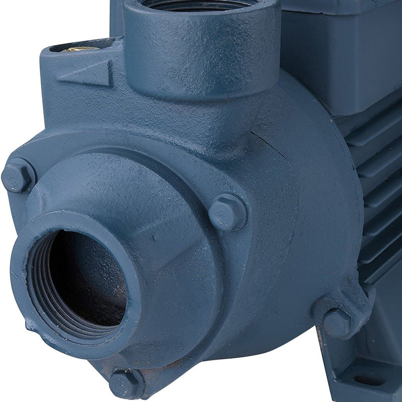 Water Pump Electric Clear Centrifugal 1/2 HP 1 Inch Inlet Outlet - ToolPlanet