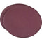 Woodstock 2 Pc Sanding Disc 10 inch PSA 100 grit Aluminum Oxide D1330 - ToolPlanet