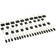 Woodstock 50 pc Paint Brush Set Foam Brushes D2024 - ToolPlanet